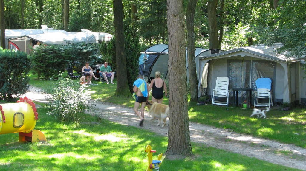Toename populariteit Nederlandse campings